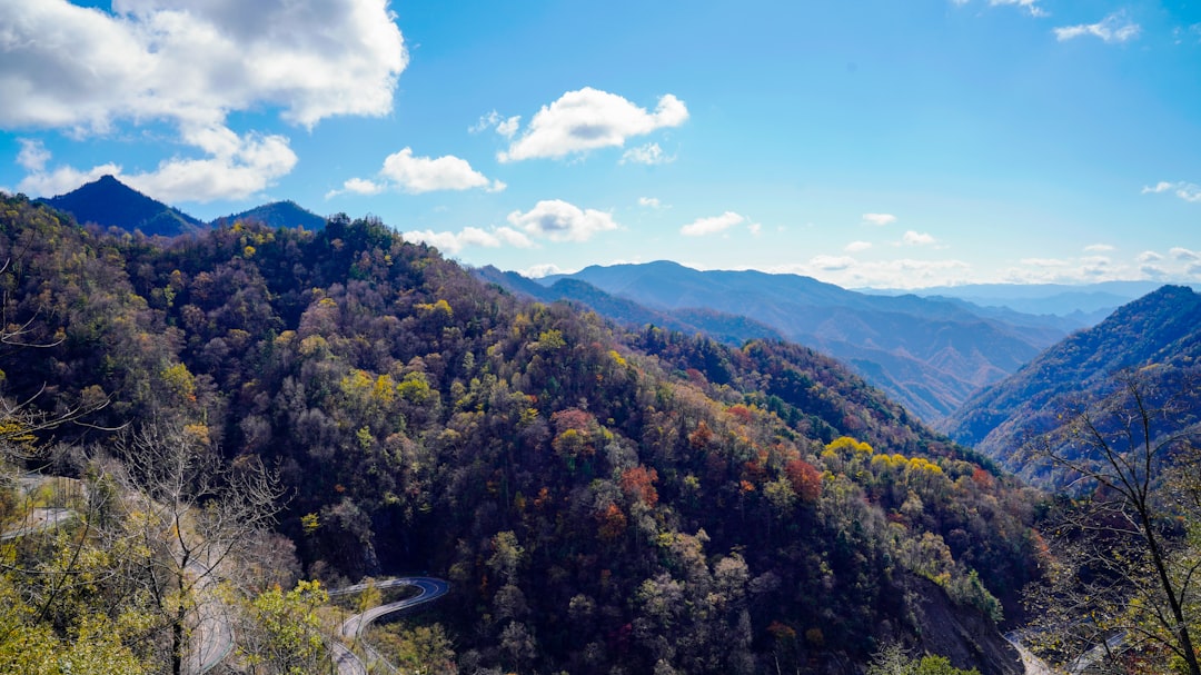 Rediscovering Nature: Your Guide to Affordable Outdoor Adventures
